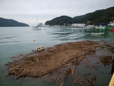 台風21号で発生した漂流ゴミ