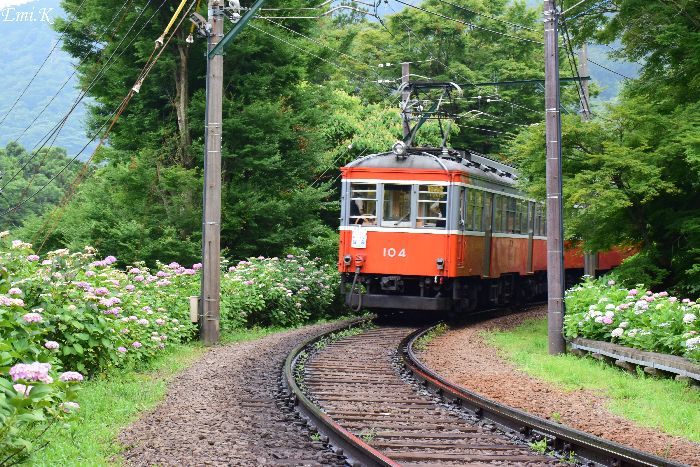 176-Emi-箱根登山電車レトロ車両