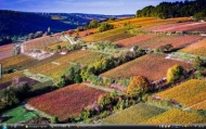 6_Bourgogne vignoble14s