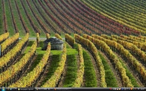 1_Bourgogne Vineyards27s