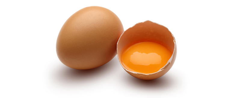 eggs1.png