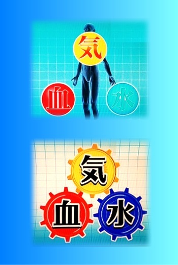 漢方の3要素