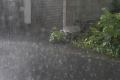 100619-rain-02.jpg