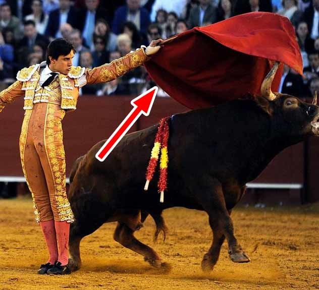 スペインの闘牛士が持っている赤いマントの正式名所は 職業 仕事道具