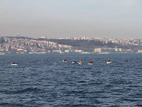 Istanbul60817-6.jpg